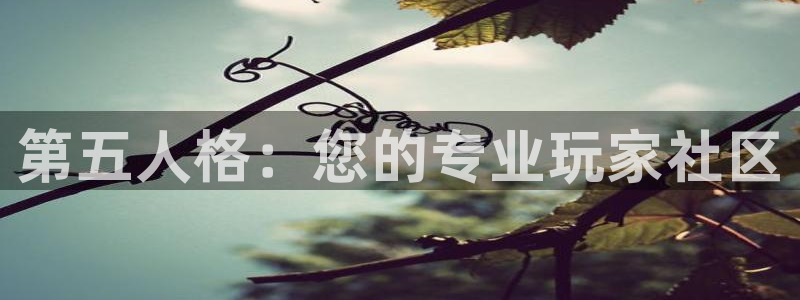赢咖娱乐登陆测速：第五人格：您的专业玩家社区
