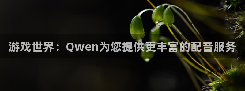 赢咖娱乐代理登陆：游戏世界：Qwen为您提供更丰富的配音服务