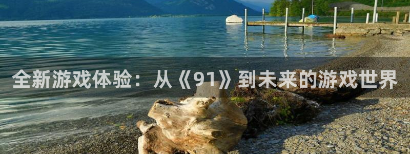 赢咖娱乐游戏：全新游戏体验：从《91》到未来的游戏世界