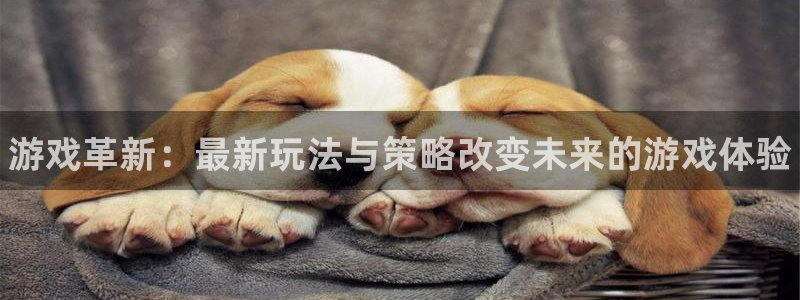 赢咖娱乐app下载：游戏革新：最新玩法与策略改变未来的游戏体