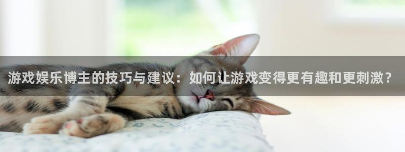 赢咖娱乐注册官方登录app：游戏娱乐博主的技巧与建议：如何让