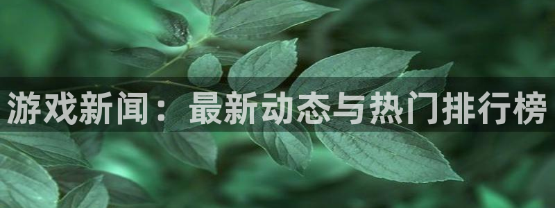 赢咖娱乐平台注册开户：游戏新闻：最新动态与热门排行榜
