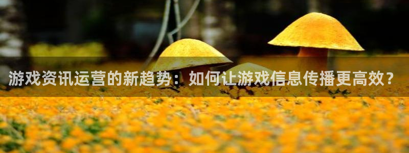 赢咖娱乐网页登录入口官网：游戏资讯运营的新趋势：如何让游戏信