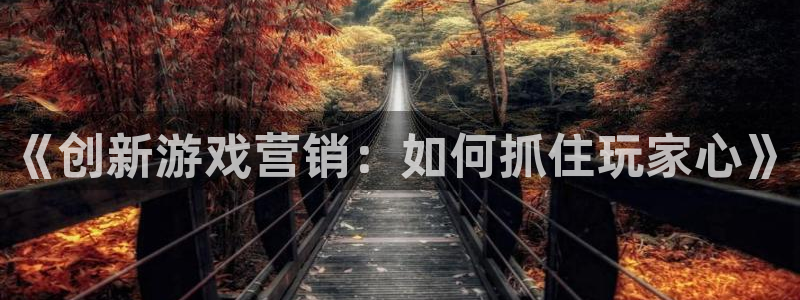赢咖娱乐手机网页版登录：《创新游戏营销：如何抓住玩家心》