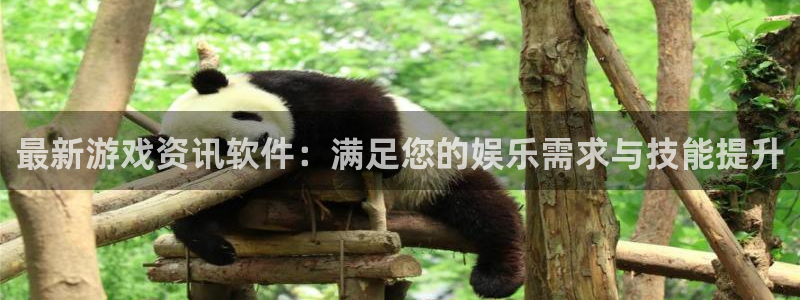 赢咖娱乐平台注册资金多少：最新游戏资讯软件：满足您的娱乐需求