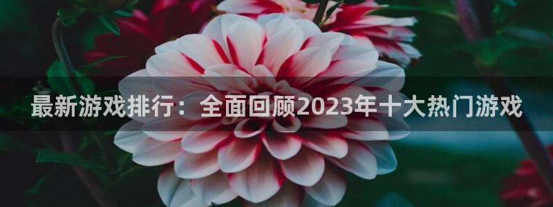 赢咖娱乐平台登录入口：最新游戏排行：全面回顾2023年十大热