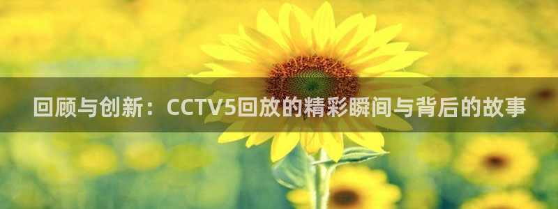jrkan.com直播体育：回顾与创新：CCTV5回放的精彩瞬间与背后的故事