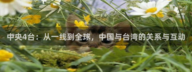 jrkan.com直播体育