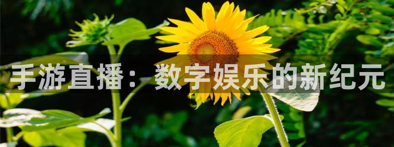 jrkankan直播体育网：手游直播：数字娱乐的新纪元