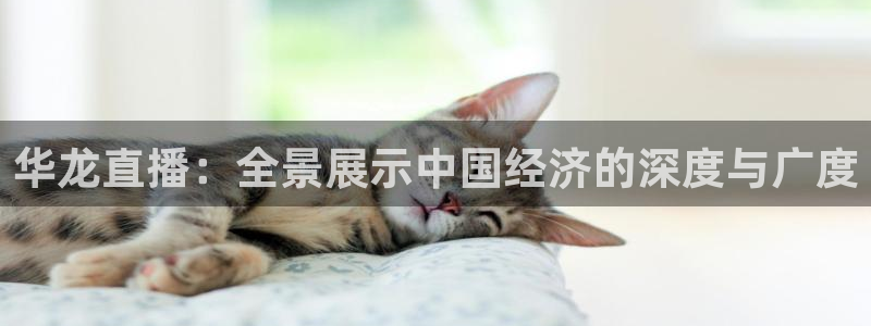 jrkan直播nba免费