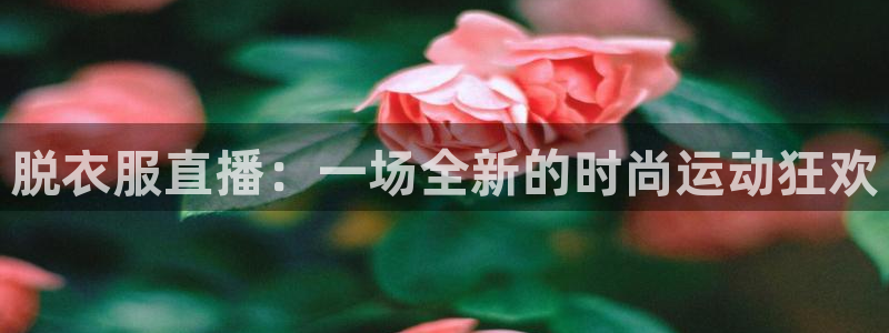 jrkan直播免费高清体育直播nba：脱衣服直播：一场全新的时尚运动狂欢