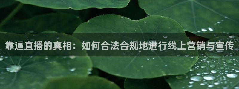 jrkan体育直播网：靠逼直播的真相：如何合法合规地进行线上营销与宣传